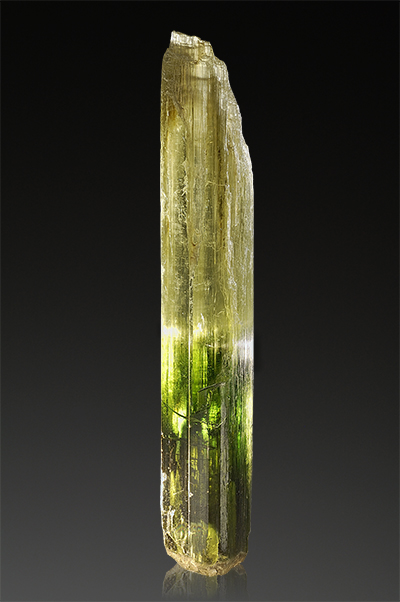 A self-collected 12 cm tall diopside from Rotkopf mountain, Zillertal Diopsid